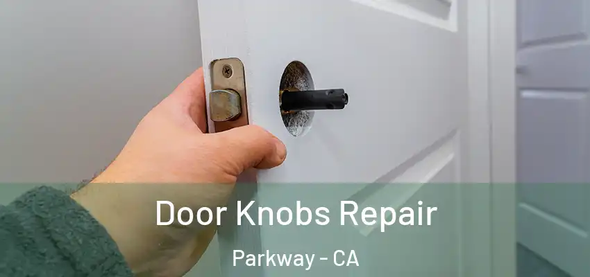 Door Knobs Repair Parkway - CA