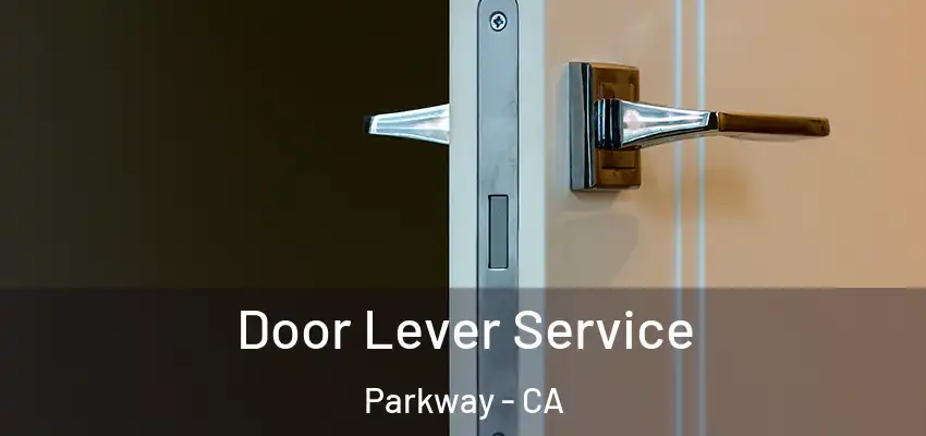  Door Lever Service Parkway - CA