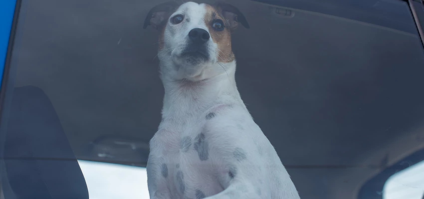 Car Lockout Solutions in Parkway, California